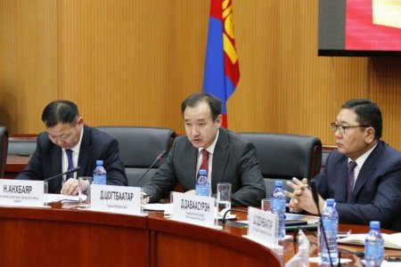 Монгол Улсаас гадаадад суугаа дипломат төлөөлөгчийн газрын тэргүүнүүд зөвлөлдөж байна