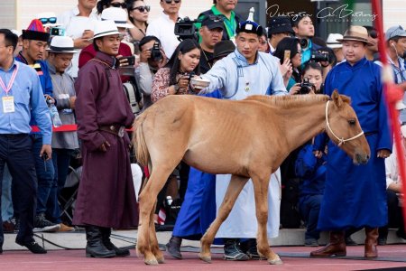 МЗХ Хамгийн залуу начинд 26 дах жилдээ хурдан удмын даага гардууллаа