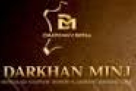 Баялаг бүтээсэн 25 жил Дархан минж ХХК