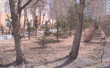 Ногоон байгууламжид жил бүр тодорхой төсөв зарцуулдаг ч шугам хоолойн засварын ажлаас шалтгаалж үр дүнгүй болж байна