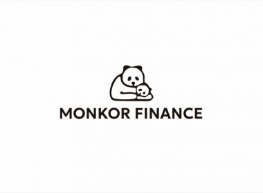 NON-BANK FINANCIAL INSTITUTION