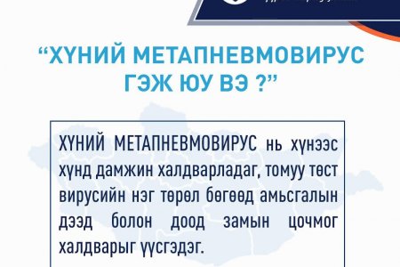 ХҮНИЙ МЕТАПНЕВМОВИРУС ГЭЖ ЮУ ВЭ?