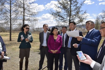 Ботаникийн цэцэрлэгт хүрээлэнг сэргээх боломж бүрдлээ