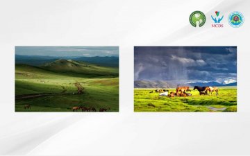 On-line training 1 (part 2): NGO strategic management/ТББ-ын стратегийн менежмент