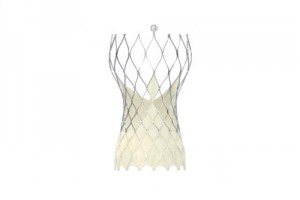 MEDTRONIC-STRUCTURAL HEART DIVISION