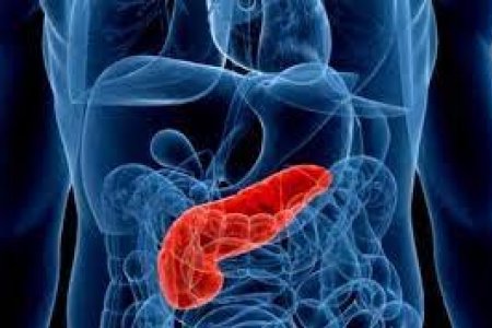 Баяр наадмын өдрүүдэд хуушуур, хорхог болон архи, спиртийн төрлийн хэрэглээ нэмэгдэж, нойр булчирхайн цочмог үрэвсэлд хүргэдэг