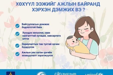 ХӨХҮҮЛ ЭЭЖИЙГ АЖЛЫН БАЙРАНД ХЭРХЭН ДЭМЖИХ ВЭ?