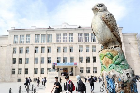 Ургалт нь зогссон улиасыг 2017 онд тайрч, сийлбэр хийсэн