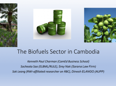 The Biofuels Sector in Cambodia