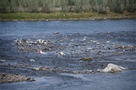 Туул голын усанд хүн, мал, орчинд аюултай 15 хорт элемент агуулагдаж байгааг тогтоожээ