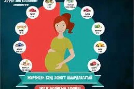ЖИРЭМСЛЭХЭЭР ТӨЛӨВЛӨЖ БУЙ ЭМЭГТЭЙЧҮҮДЭД ӨГӨХ ЗӨВЛӨМЖ