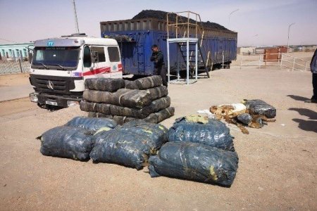 Нүүрсэнд 25 кг чихэр өвс, 570 кг адууны өлөн гэдэс нуусан байжээ