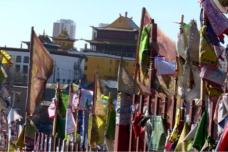 Модонд хадаг уях нь модны мөчир, зулзаган модыг гэмтээдэг