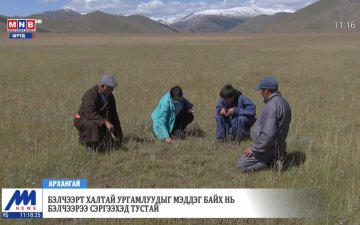 Бэлчээрт халтай ургамлуудыг мэддэг байх нь бэлчээрээ сэргээхэд тустай