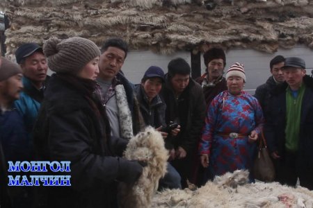 Study tour of herders to processing companies/Малчдын боловсруулах үйлдвэрт хийсэн танилцах аяллын