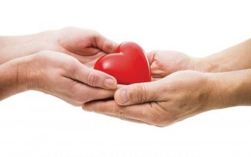 Манай улсад элэг шилжүүлэх 400 гаруй хагалгаа хийснээс 90 гаруй хувь нь амьд донортой байжээ