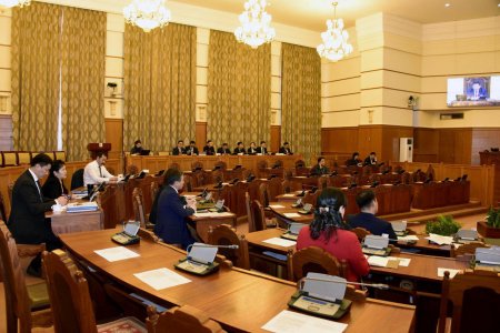 УИХ: Ерөнхийлөгчийн хоригийг хүлээж авсангүй 