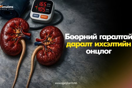 Бөөрний даралт ихсэлт