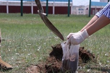 ЦЭНГЭЛДЭХ ХҮРЭЭЛЭН, МОРЬ БАРИАНЫ ГАЗРУУДААС ХӨРСНИЙ ДЭЭЖ АВЧЭЭ