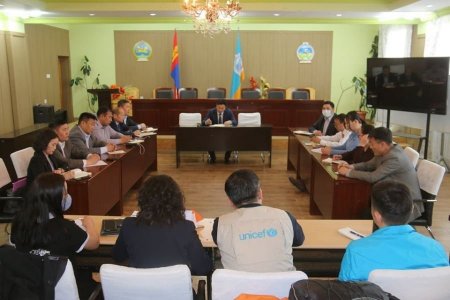 Олон улсын болон төрийн бус байгууллагуудтай зөвлөлдлөө