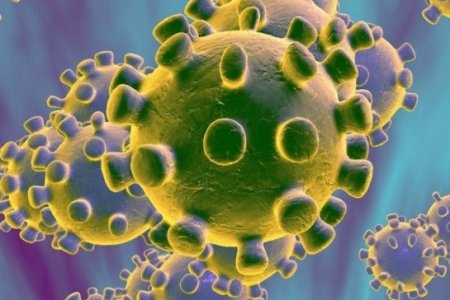 ШИНЭ КОРОНАВИРУСТ ХАЛДВАРЫН НӨХЦӨЛ БАЙДЛЫН ШИНЭЧЛЭГДСЭН МЭДЭЭЛЭЛ