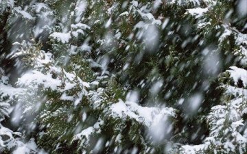 Булган, Сэлэнгийн нутгаар нойтон цас орж, цасан шуурга шуурч, говь, тал, хээрийн нутгаар салхи ширүүсэн шороон шуургатай байхыг анхааруулж байна