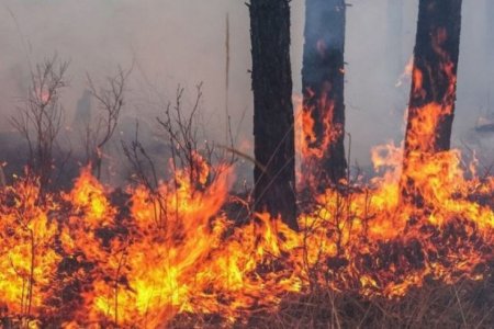 Сэлэнгэ аймагт гарсан хоёр түймрийг унтраахаар ажиллаж байна