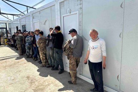 Аялал жуулчлалын визтэй гадаад иргэдийг хөдөлмөр эрхлүүлж байжээ