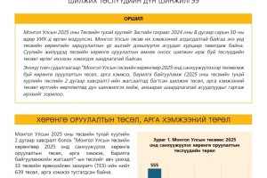 Чухал сэдэв: “Монгол Улсын 2025 оны төсвийн төсөл: Хөрөнгө оруулалтын  шилжих төслүүдийн дүн шинжилгээ”