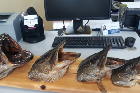 ХОВОР АМЬТНЫ ЖАГСААЛТАД ОРСОН ТУЛ ЗАГАСНЫ ТОЛГОЙ БҮХИЙ ЭД ЗҮЙЛИЙГ ИЛРҮҮЛЖ, ЦАГДААГИЙН БАЙГУУЛЛАГАД ШИЛЖҮҮЛЛЭЭ