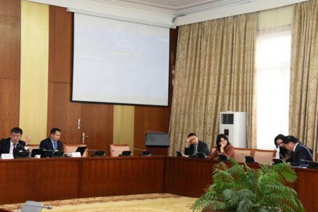 Иргэдийн тэтгэвэр барьцаалсан зээлийн төлбөрийг төрөөс нэг удаа төлөх тухай хуулийн төслийг хэлэлцэхийг дэмжлээ