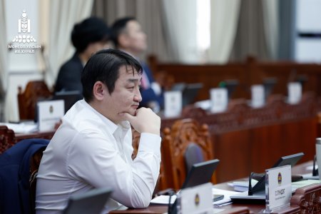 Тусгай хяналтын дэд хорооны даргаар С.Лүндэгийг сонголоо
