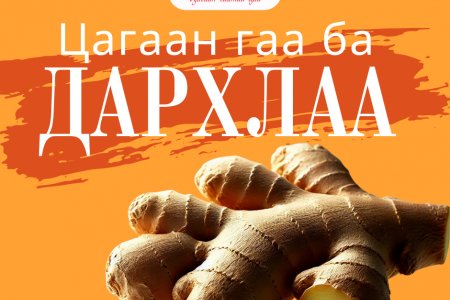 ЦАГААН ГАА БА ДАРХЛАА