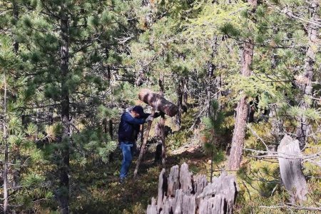 Нийслэлийн ногоон бүсэд хууль бусаар самар түүхгүй байхыг анхааруулж байна 