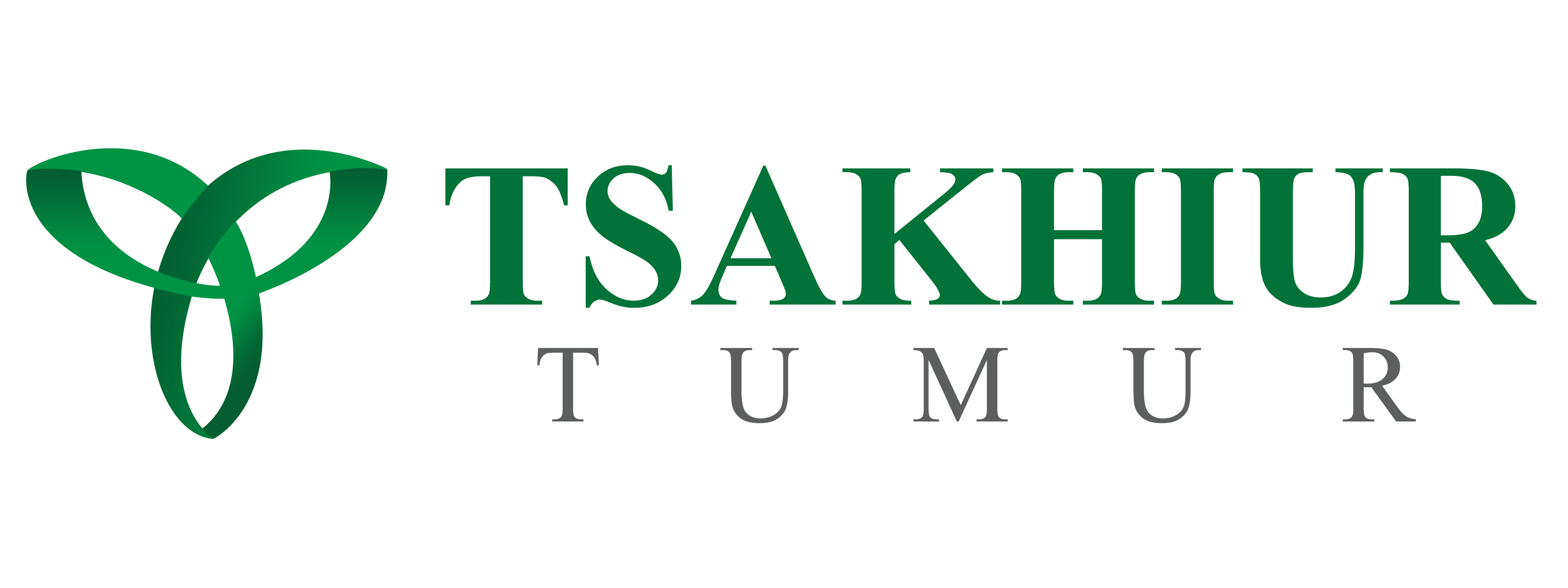 Tsakhiur Tumur LLC