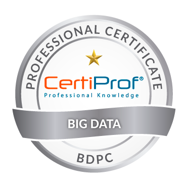 Big Data Professional Certificate Хөтөлбөрийн сургалт