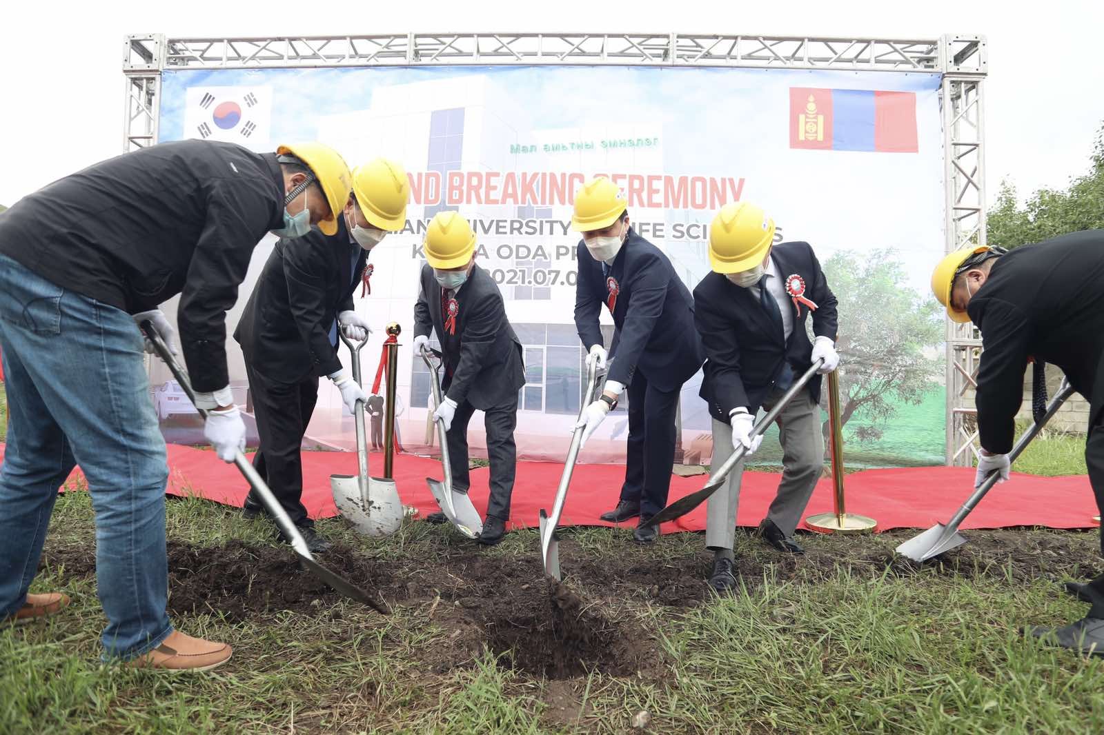 МАЛ, АМЬТНЫ ЭМНЭЛГИЙН ШАВ ТАВИЛАА