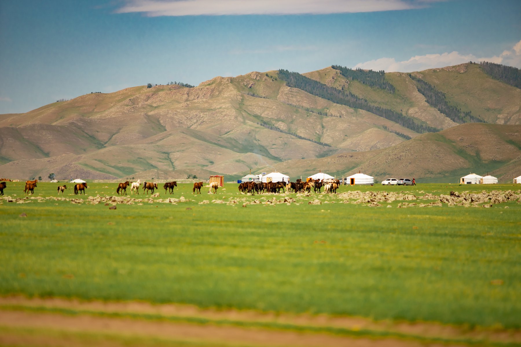 9 Reasons You Need to Visit Mongolia 