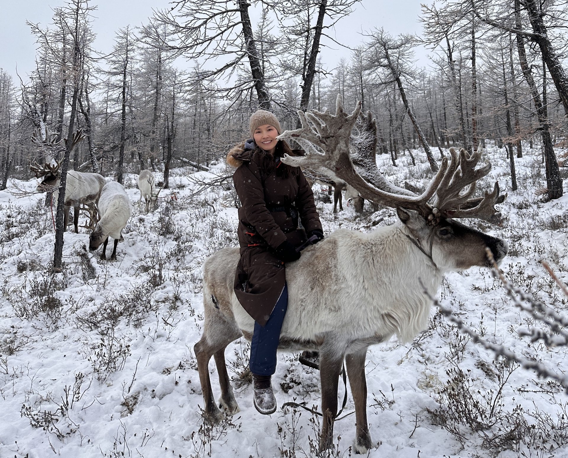 If you’d like to know more about reindeer, check out these 20 interesting facts!
