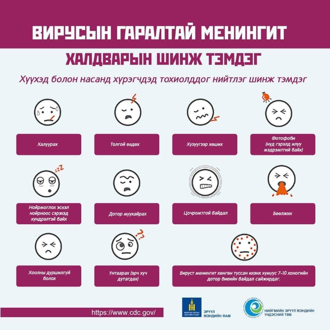 Вирусын гаралтай менингит халдвар гэж юуг хэлэх вэ? | Говь алтай ...