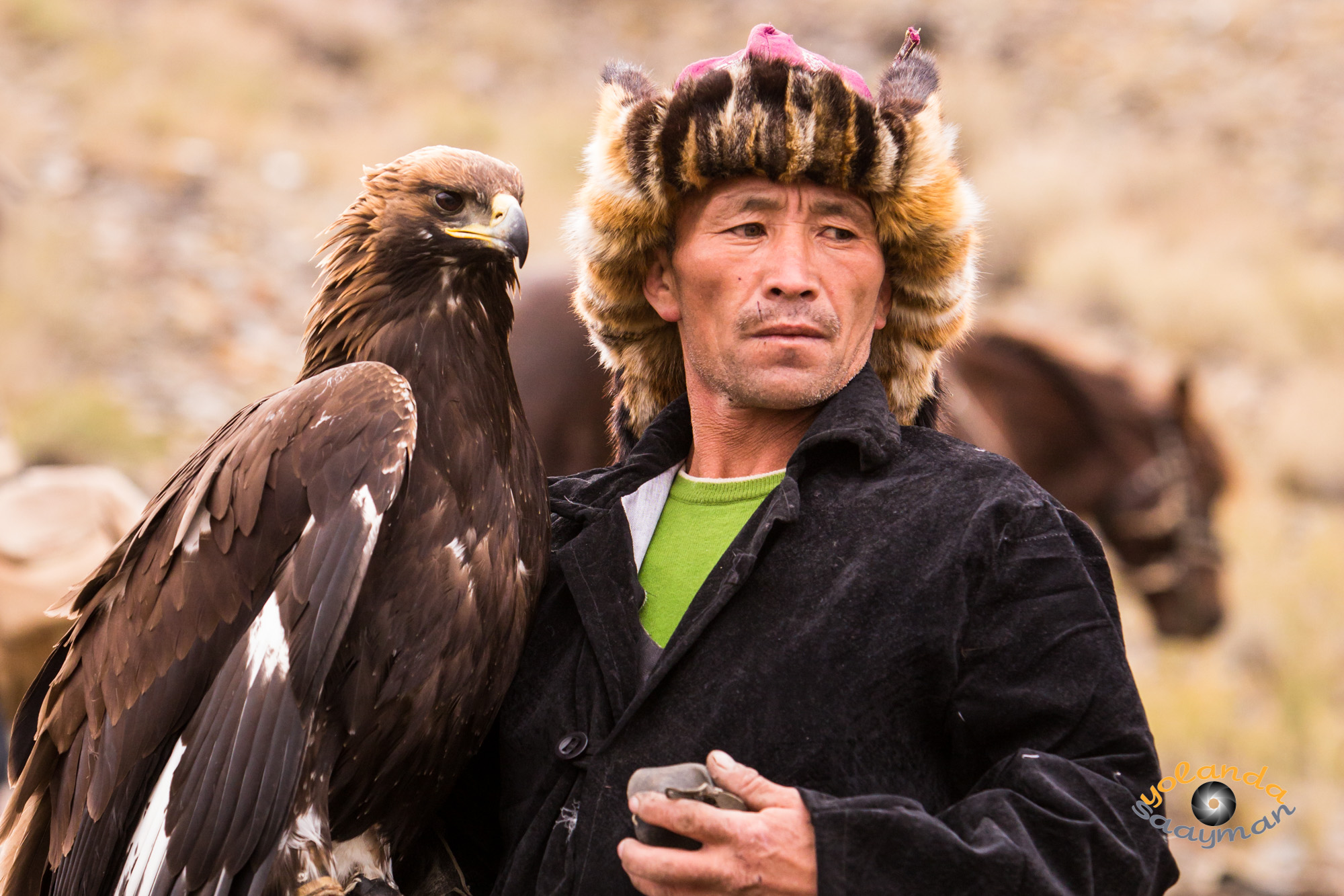 TOUR KEY: Wings over the West Mongolia-2