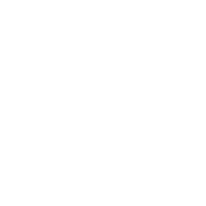 MNS ISO 9001:2015
