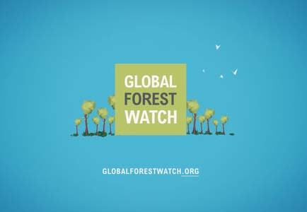 GLOBAL FOREST WATCH ANNOUNCES NEW SMALL GRANTS FUND