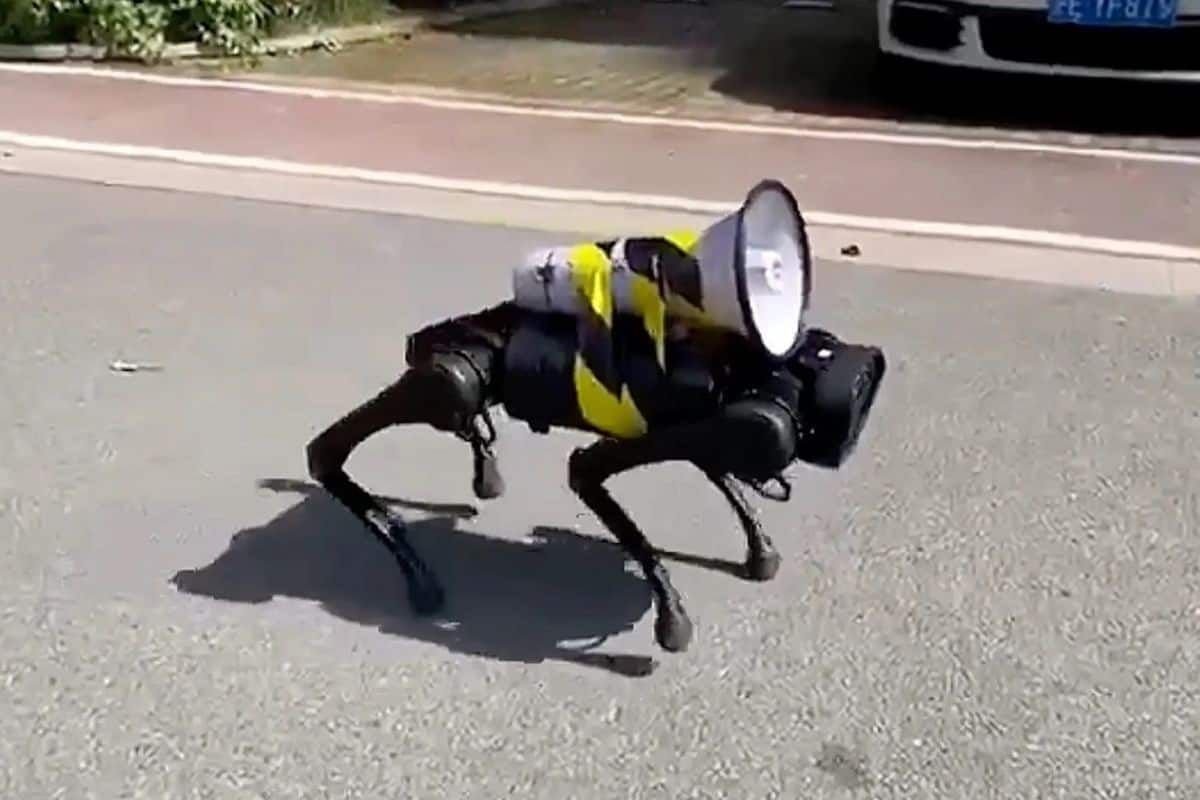 Шанхайн гудамжинд робот нохой Covid-19 өвчнөөс хэрхэн сэргийлэх тухай заавар өгч байна