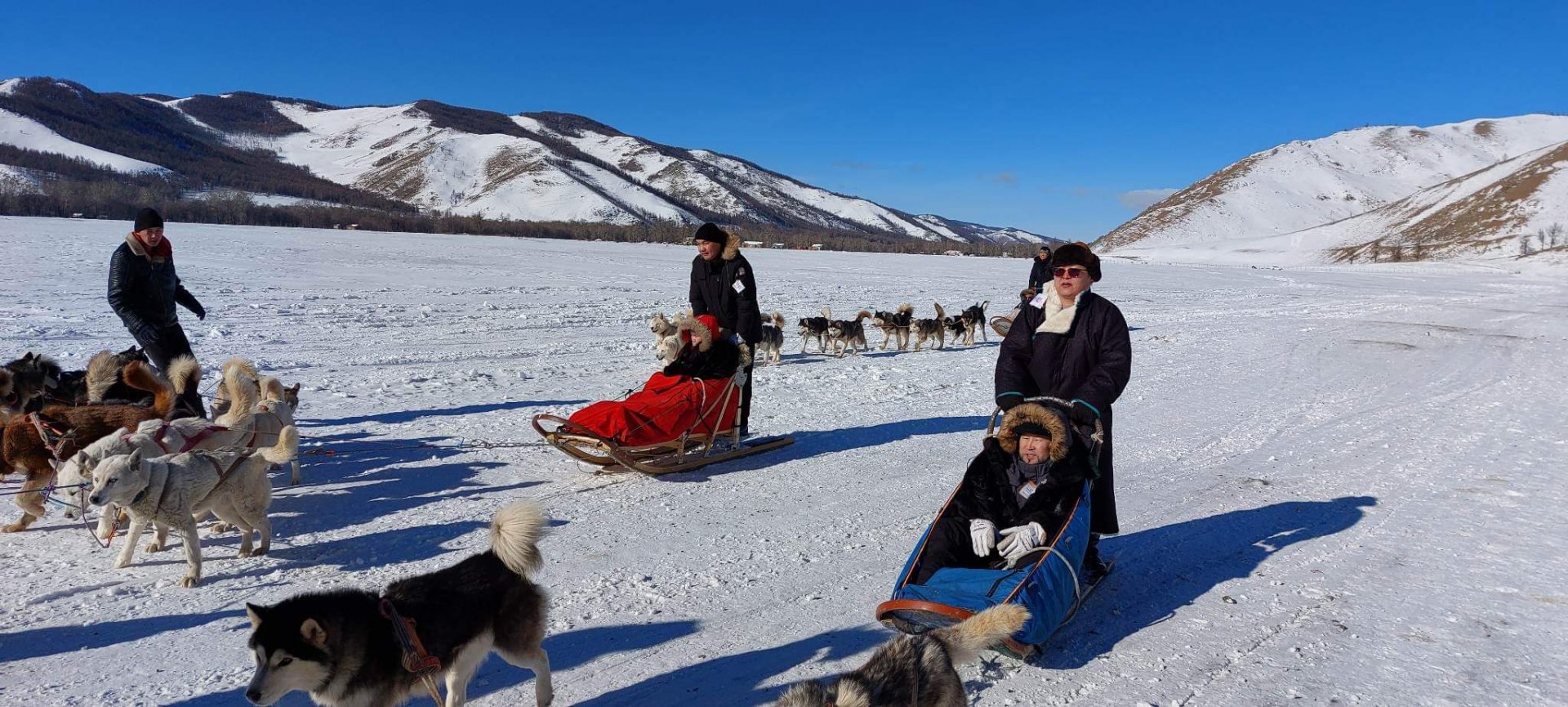 Dogsledding in Mongolia is one of the most attractive activities