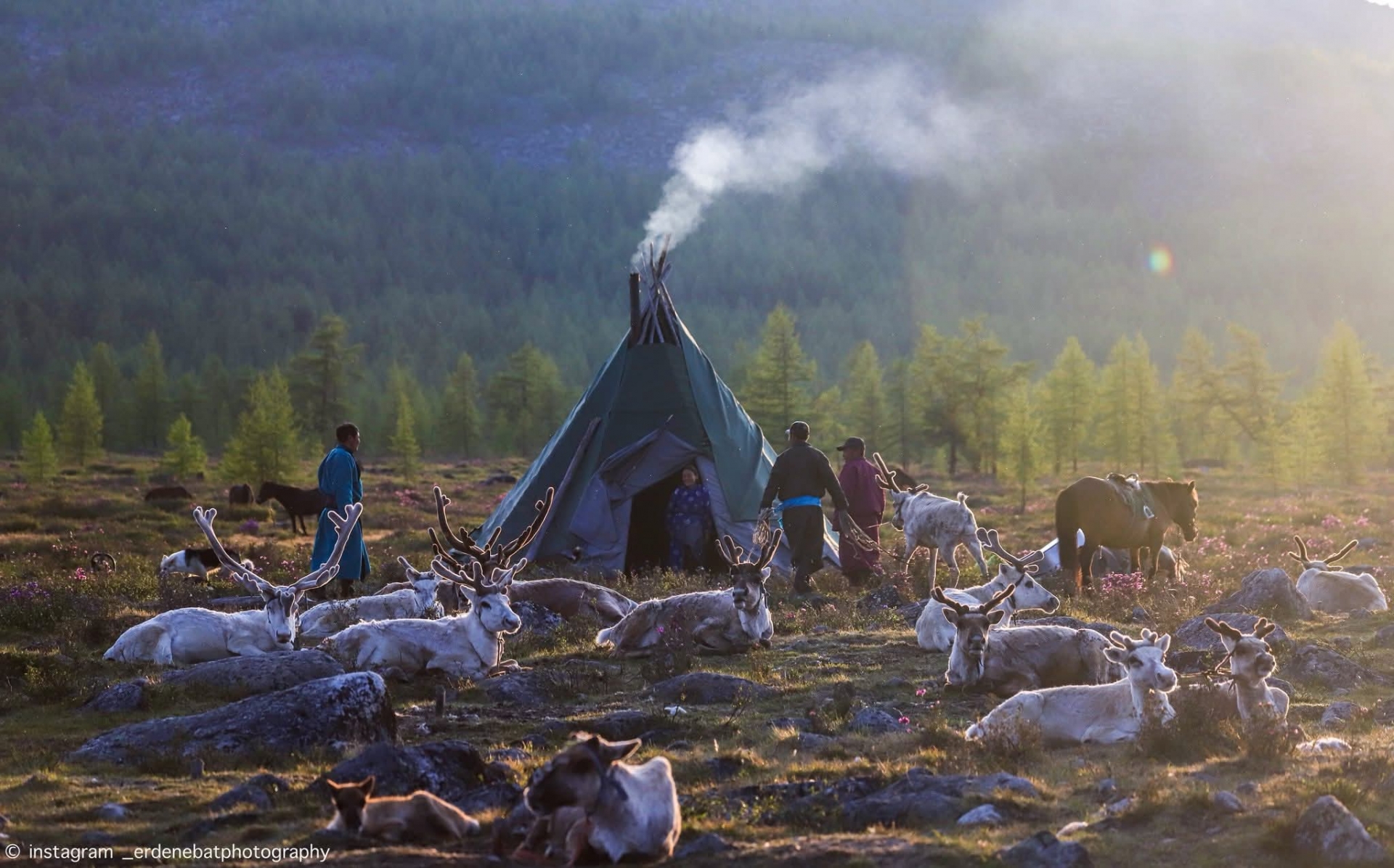 Tsaatan Reindeer & Lake Khuvsgul Journey