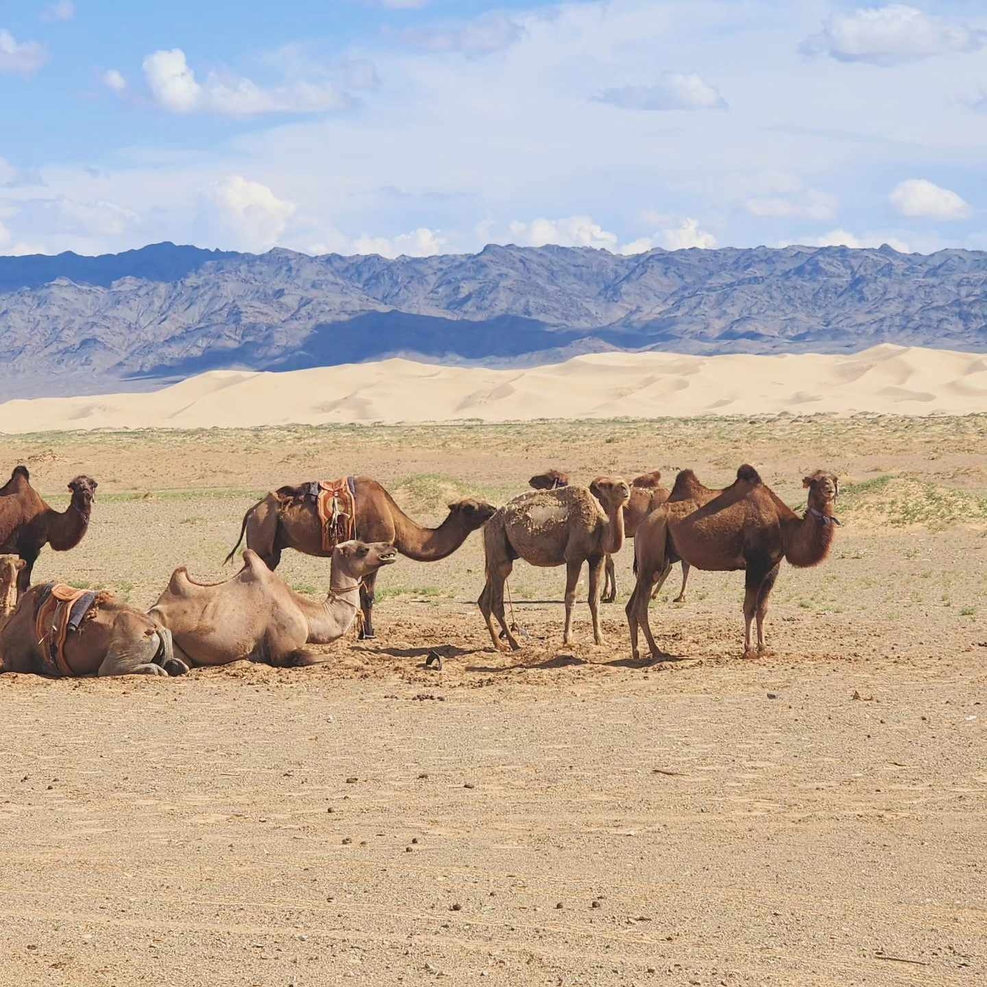 WONDERS OF THE GOBI DESERT & ORKHON VALLEY