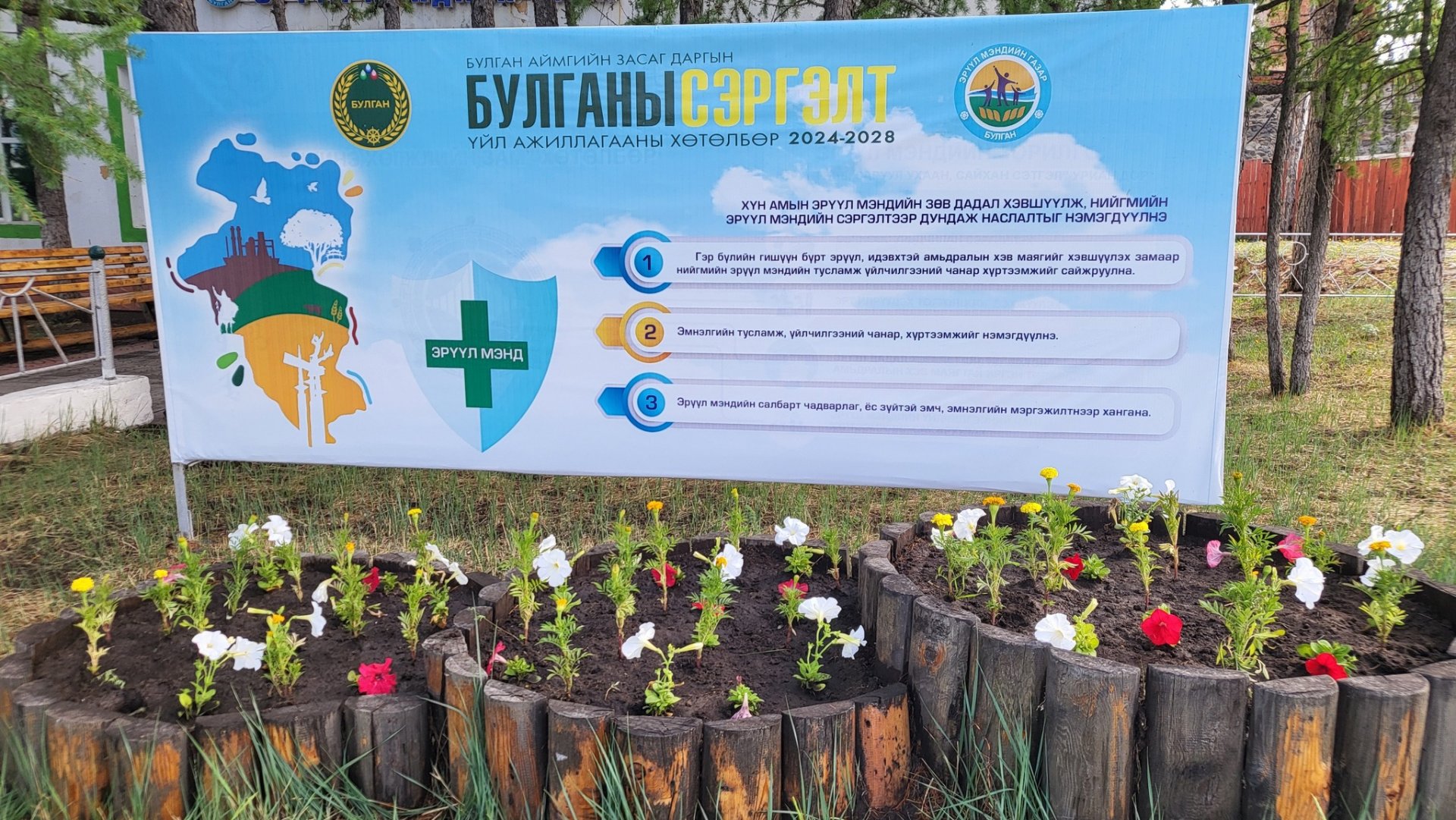 Байгууллагын гадна талбайг цэцэгсээр гоёлоо