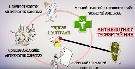 Бичил биетний тэсвэржилтээс сэргийлье