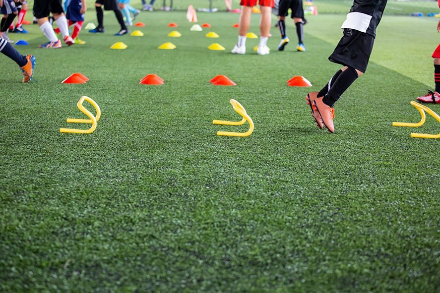 Нэг талбайг олон төрлөөр ашиглах боломж